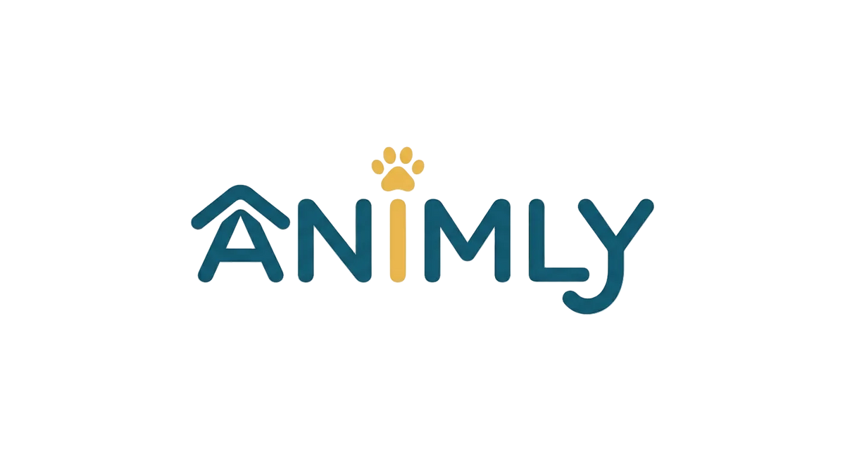 animly